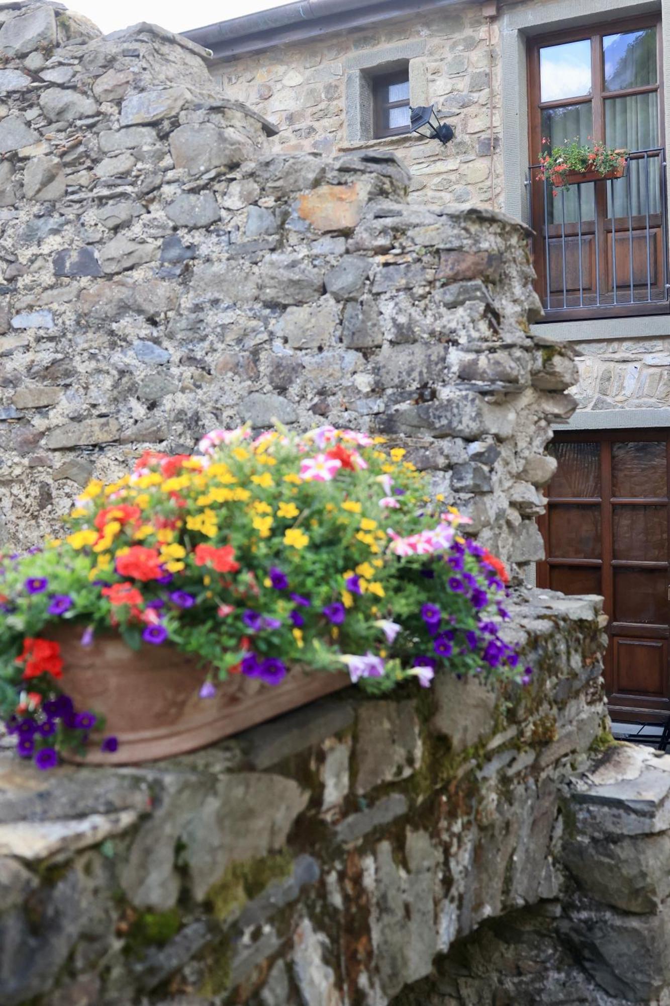 Montagna Apella Licciana Nardi